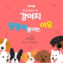 펫츠월드 이미지