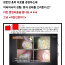 강&이치과 이미지