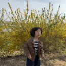 나주종합스포츠파크 건너편 이미지