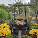 피크닉장 이미지