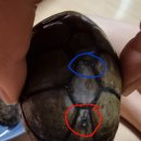 10급 돌파 네이버블로그