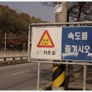 갤러리이상 이미지