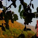 모월모일 이미지