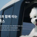 펫미업 이미지
