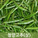 청양농산 이미지