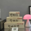 닭강정달곰's 이미지