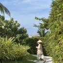 호텔알마 | 나트랑 알마리조트 스파 호텔 요가 클래스 정보와 후기