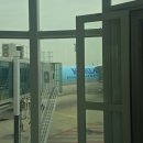 일광여객 | 대한항공 KE937 인천 - 비엔나 직항 솔직후기 기내식 어디까지 먹어 봤니?