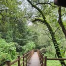 2025.9.20일(토) 괴산 산막이 옛길, 산막이 호수길 탐방 이미지