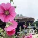 왕곡마을 이미지