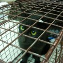 금강 동물병원 이미지