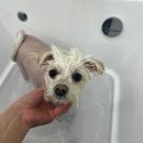 싹독싹독 이미지