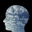 인지심리학 이미지