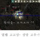 홀리선데이