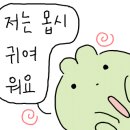 TMT피자 이미지
