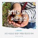 동산농장(1) | 서운동산 포천 밤줍기 체험 할로윈 추석연휴 아이와 가볼만한 곳