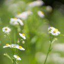 협동조합 아우내공동체 이미지