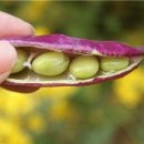 배바우농장 이미지