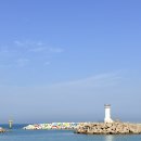 창신가스(주) | 부산 기장 차박 장소 추천 취사 가능한 동백방파제에서 삽겹살먹고 우중 차박한 후기