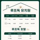 루프독 1027 네이버블로그