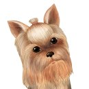 우리들애견 이미지