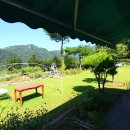 녹수공인중개사사무소 이미지