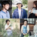 디어마이프렌즈 텐아시아