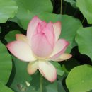 주천중학교 이미지