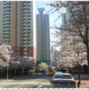 사상컴퓨터수리 네이버블로그