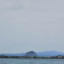 사우스사계 이미지