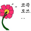 전치과의원 이미지