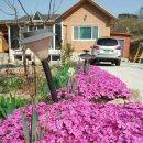 가야산농장 이미지