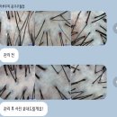 하루두피 광주주월점