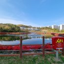 웅천북4로 이미지