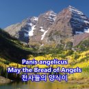천사의양식 이미지