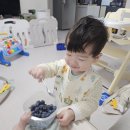 빵꾸똥꾸문구야나주 - 나주시 월정5길 1 | [03.06-03.12] 28주 임신증상 로나 임신일기