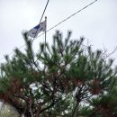 소나무경로당 이미지