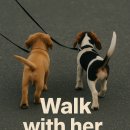 워크잇(Walk it) 이미지