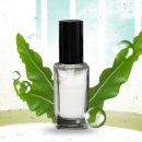 시크릿강릉 이미지