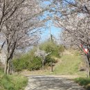 하나펜션 이미지