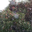 학포웰빙가 이미지