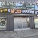 낭만펫 강아지분양 고양이분양 대전 본점 네이버블로그