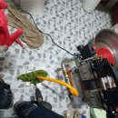 송학스테이 이미지