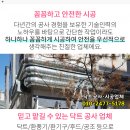 통진읍사무소 옆 이미지