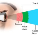 밝은약국 이미지