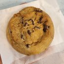 (주)스톨츠 | [~250417] D+171 현재를 즐기기~