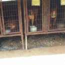 건수농장 이미지