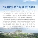 완도 법화사지 | 목포대 사학과 완도 법화사지 학술회의 개최