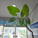 남원마디의원 이미지