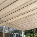 완산-125 | 야외결혼식 전주 아엘르 뷔페 주차 후기